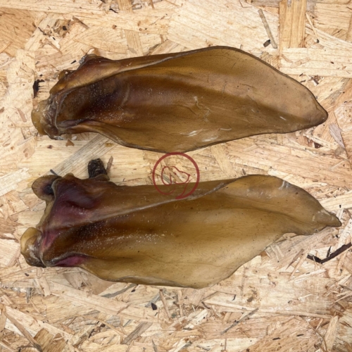Alternative view of Runderoren