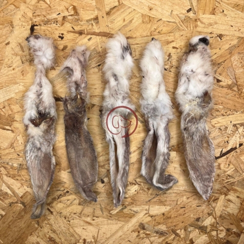 Konijnenoren home dried