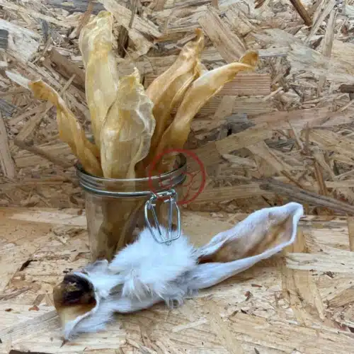 konijnenoren 2 soorten