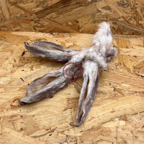 konijnenoren huisgedroogd