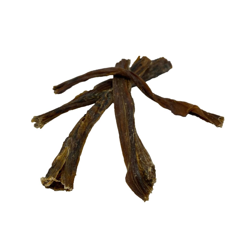 Kamelenpens