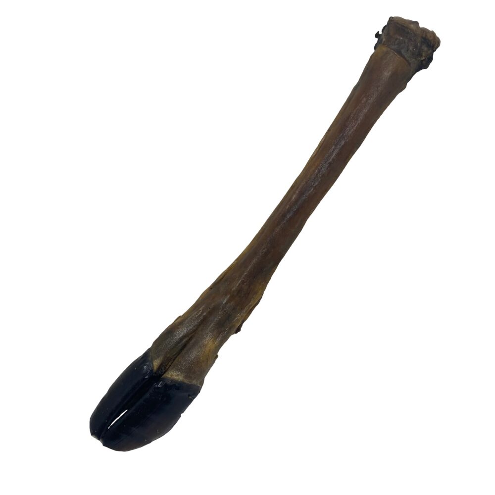 Hertenpoot