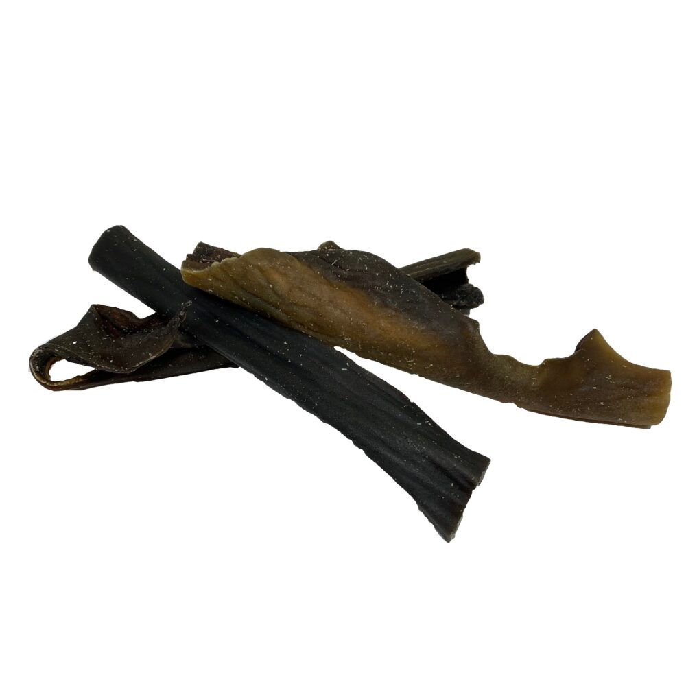 Kamelenkophuid 70 cm