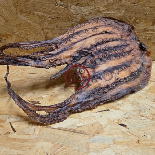 Octopus