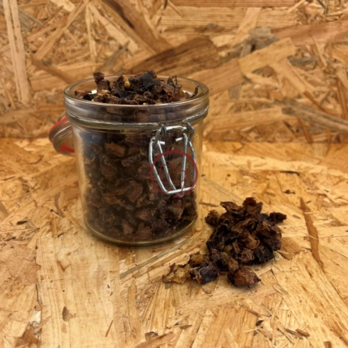 Paardenlong mini in pot