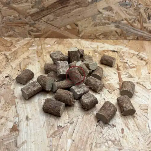 Trainers soft kangoeroe