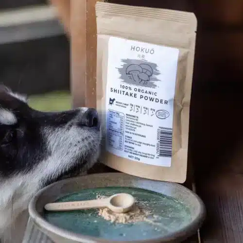 Hokuo shiitake powder met hondenneus