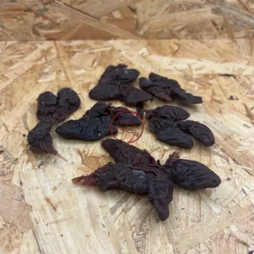 konijnenhart gedroogd