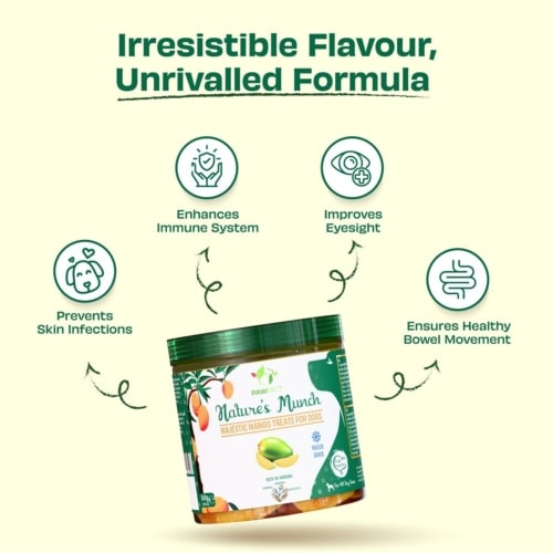 Pawfect natures munch dog treats mango 1