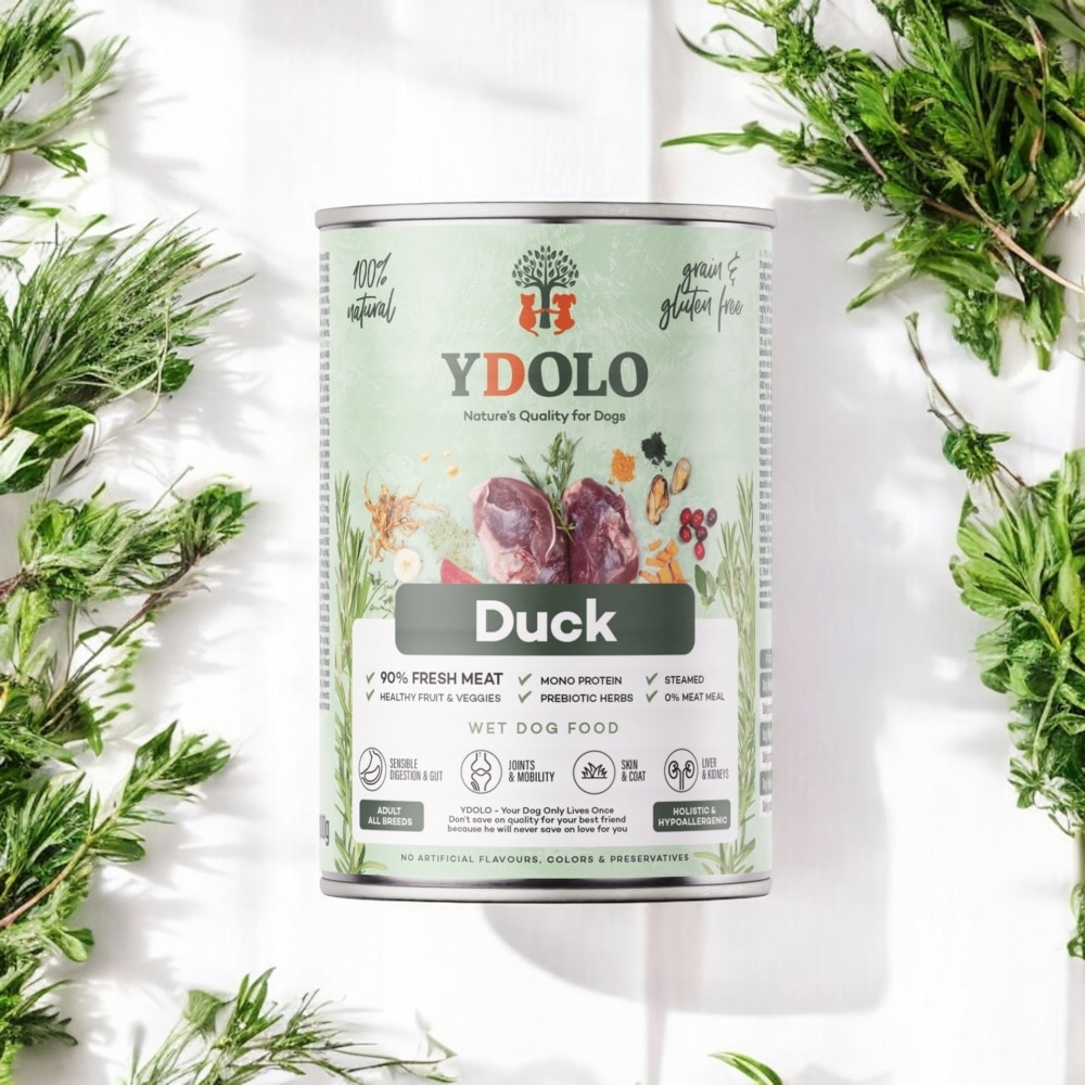 Ydolo natvoer duck