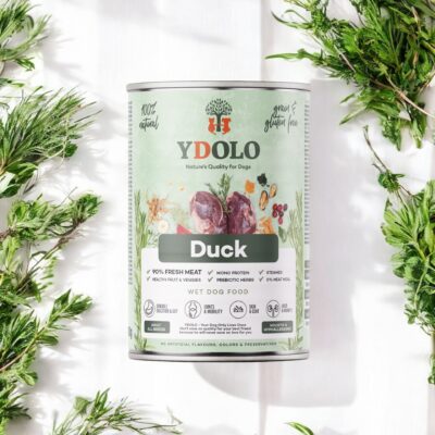 Ydolo natvoer duck