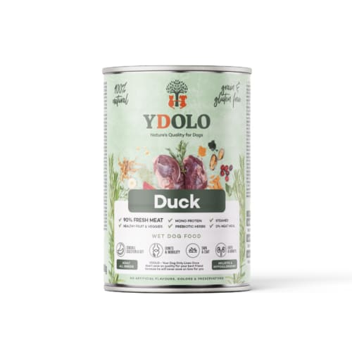 Alternative view of Ydolo natvoer duck