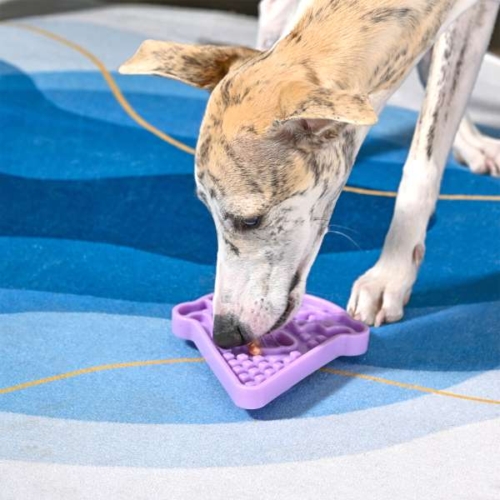 Dog bowl pet lickmat ice cream slow feeder met hond