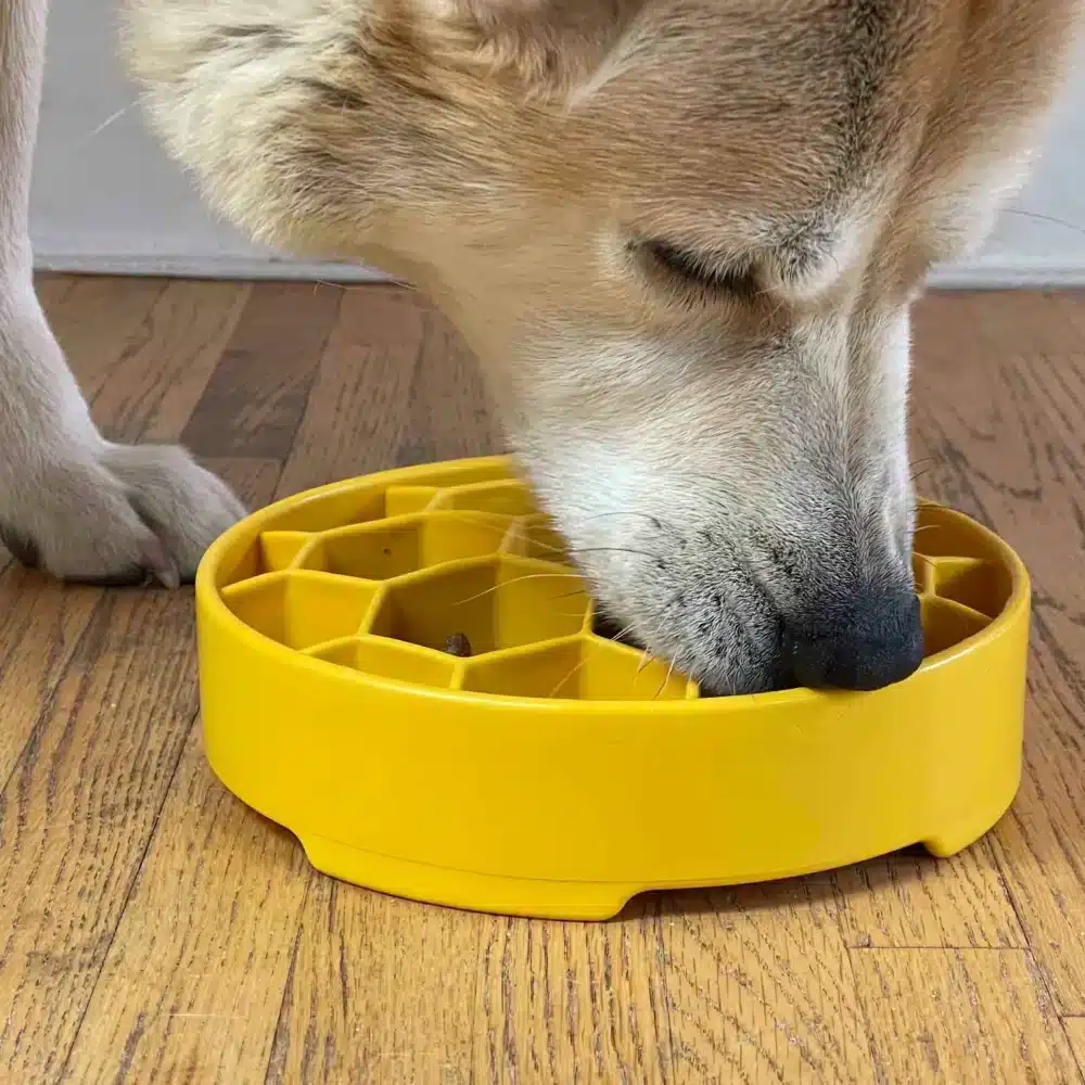 Sodapup honeycomb design ebowl slow feeder hond met gele bak