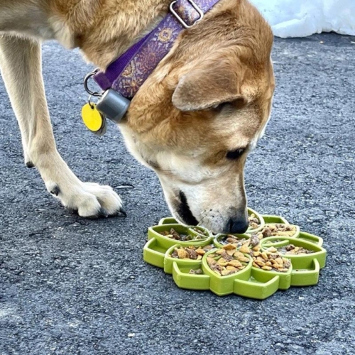 Sodapup mandala design etray
