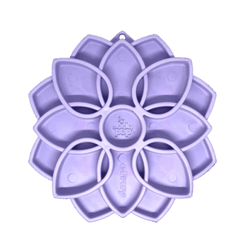 Sodapup mandala softie etray paars