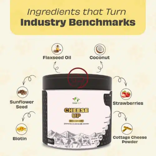 Pawfect cheese up info