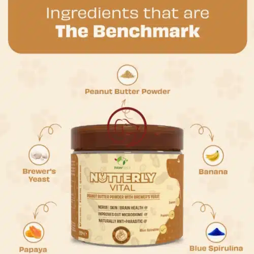 Pawfect nutterly vital info