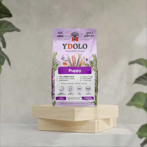 Ydolo healthy & pure puppy dichtbij 2e foto