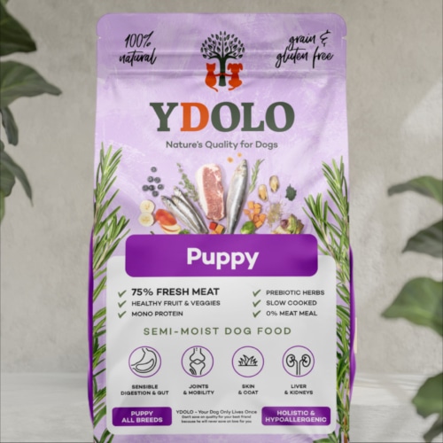 Ydolo healthy & pure puppy dichtbij