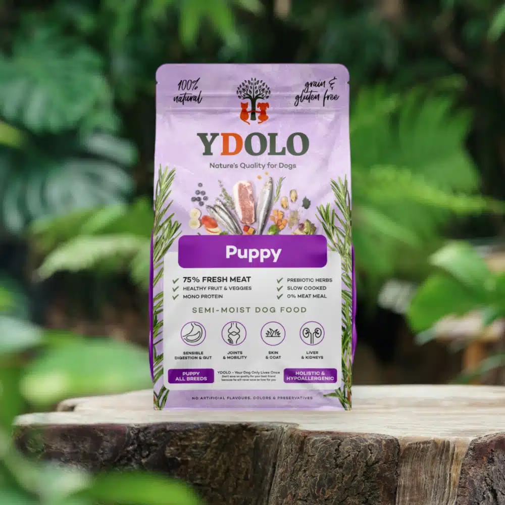 Ydolo healthy & pure puppy