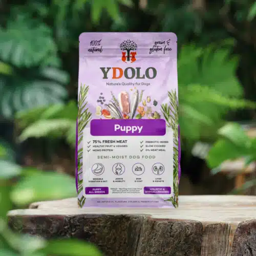 Ydolo healthy & pure puppy