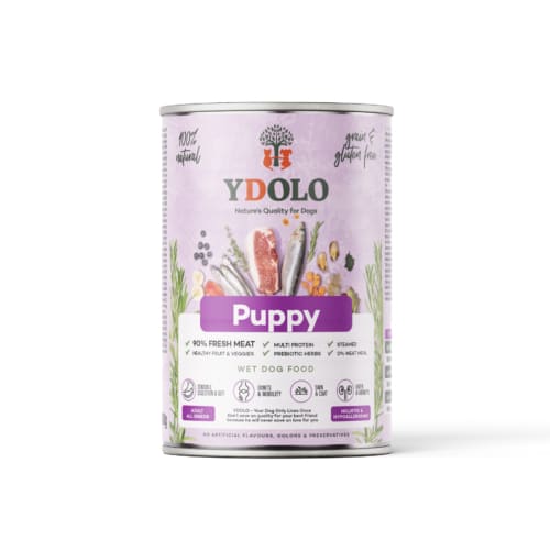 Ydolo natvoer puppy witte achtergrond