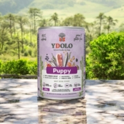 Ydolo natvoer puppy