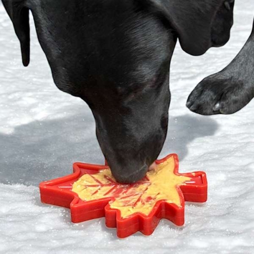 Sodapup maple leaf chew toy hond