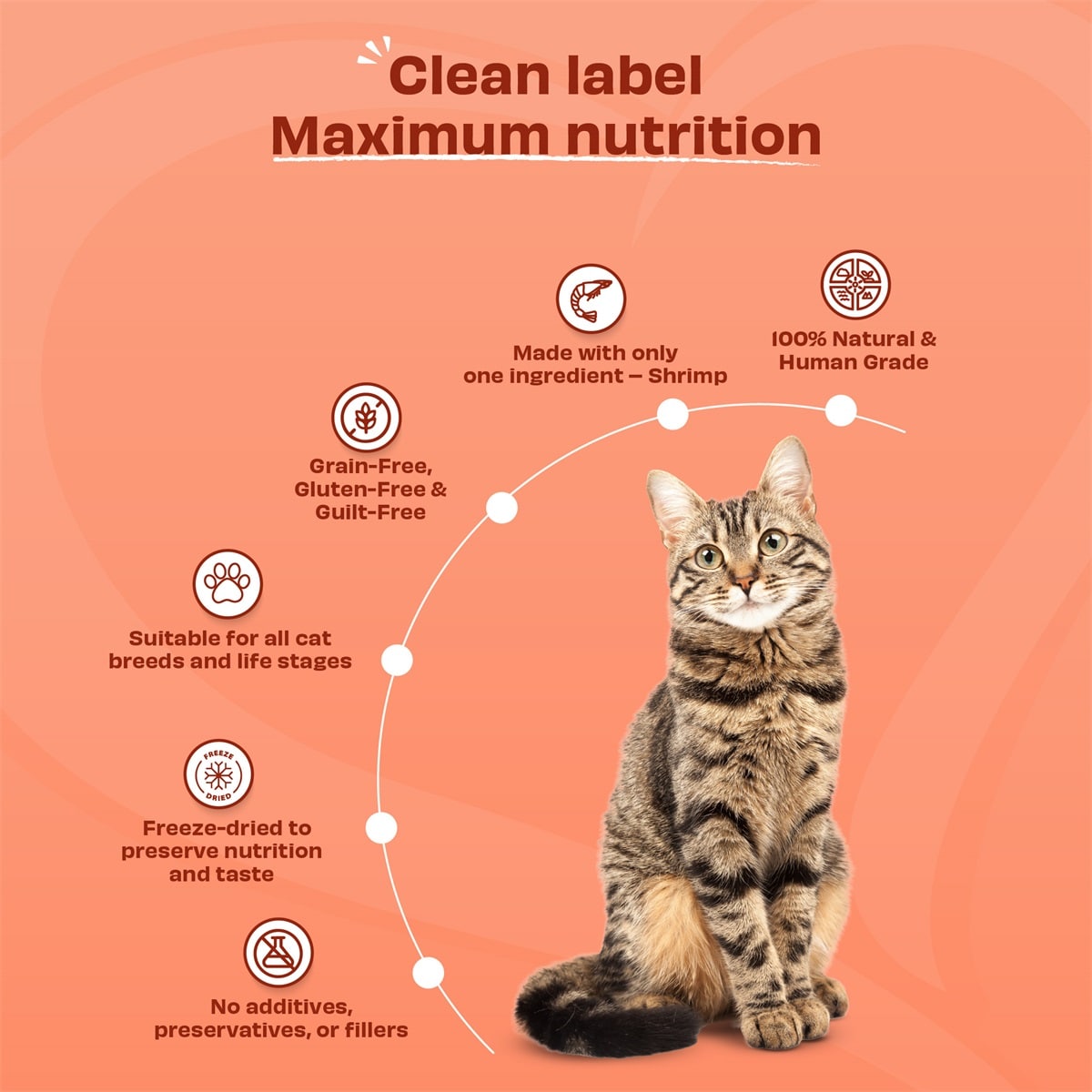 Pawfect cat freeze dried shrimps 1