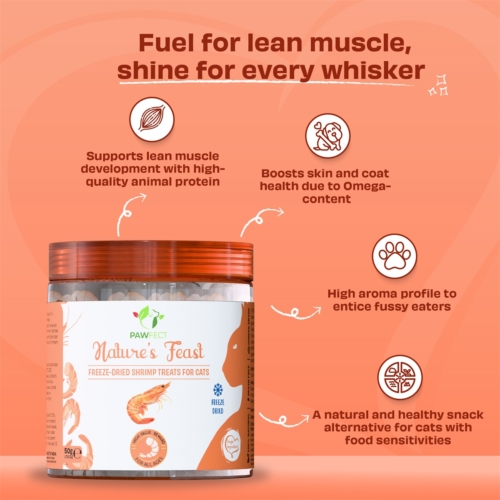 Pawfect cat freeze dried shrimps 2