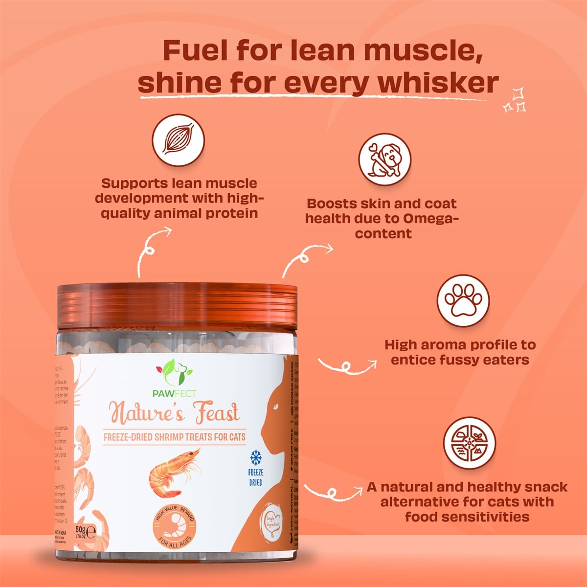 Pawfect cat freeze dried shrimps 2