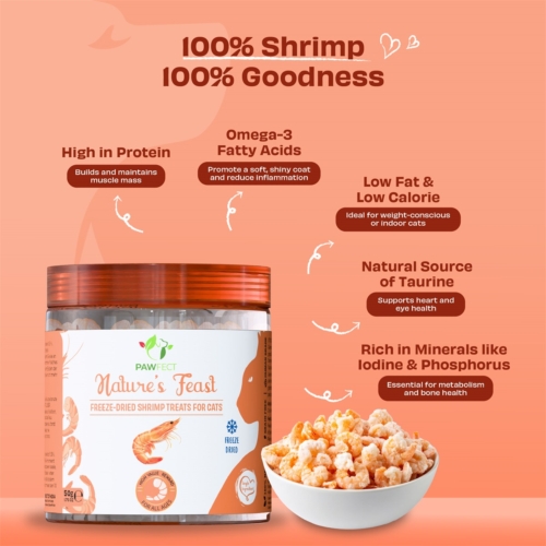 Pawfect cat freeze dried shrimps 3