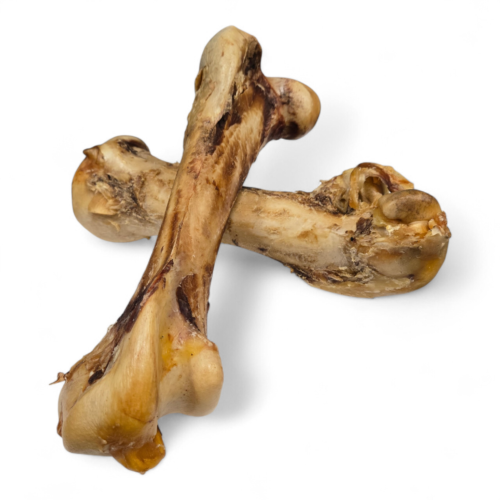 Alternative view of Struisvogelbovenbeen