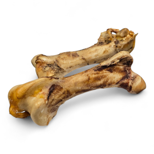 Struisvogelbovenbeen