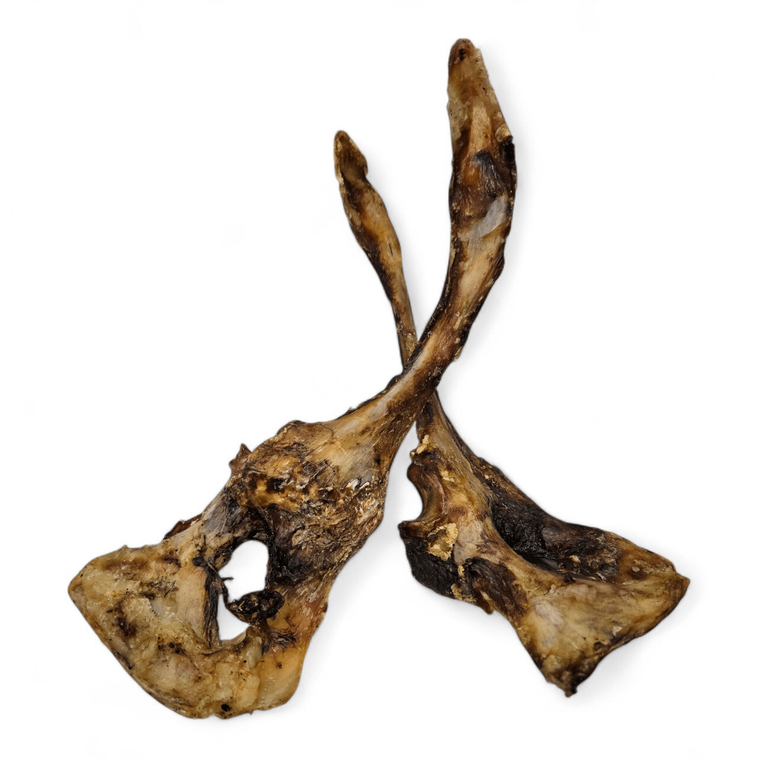 Struisvogelborstbeen