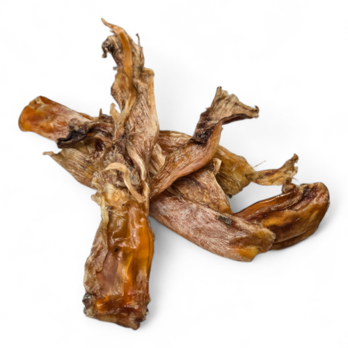 Struisvogelpees lang