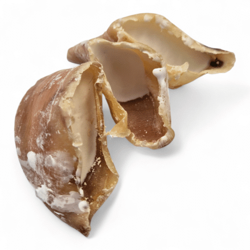 Alternative view of Kalfshoeven met vet