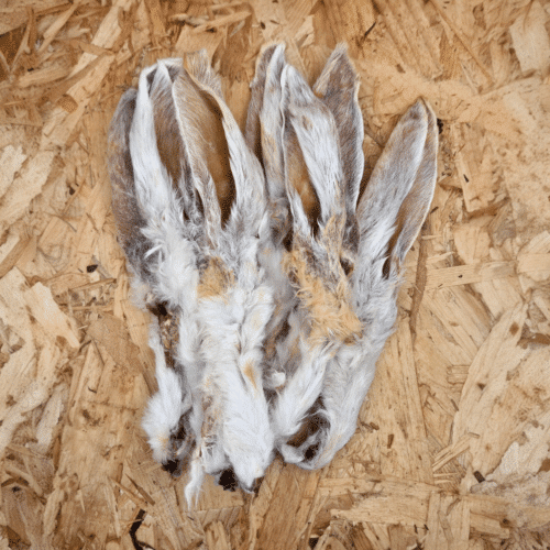 Konijnenoren met vacht CN