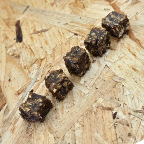 Trainers tonijn op rij