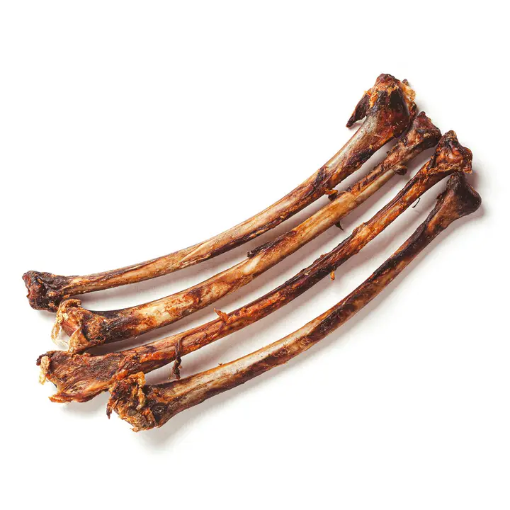Savannadog struisvogel vleugelbeenderen los