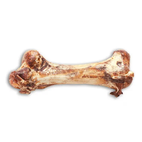 Alternative view of Savannadog struisvogelbovenbeen