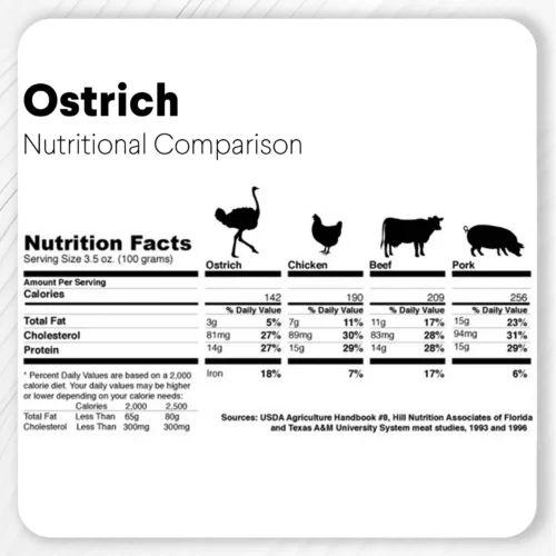 Savannadog struisvogeluitleg
