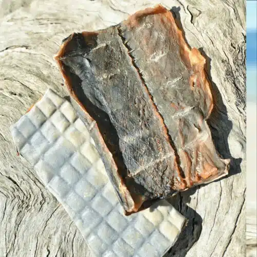 Lulu's kitchen shark skin 4