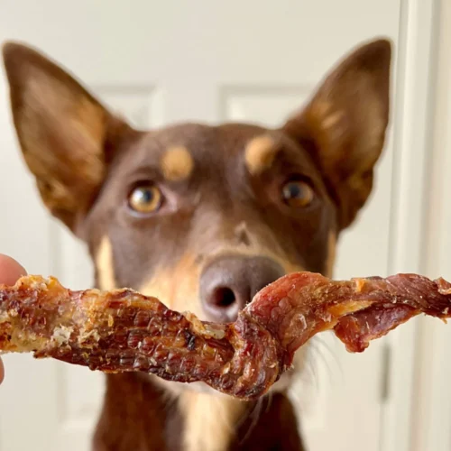 Lulu´s kitchen crocodile jerky 2