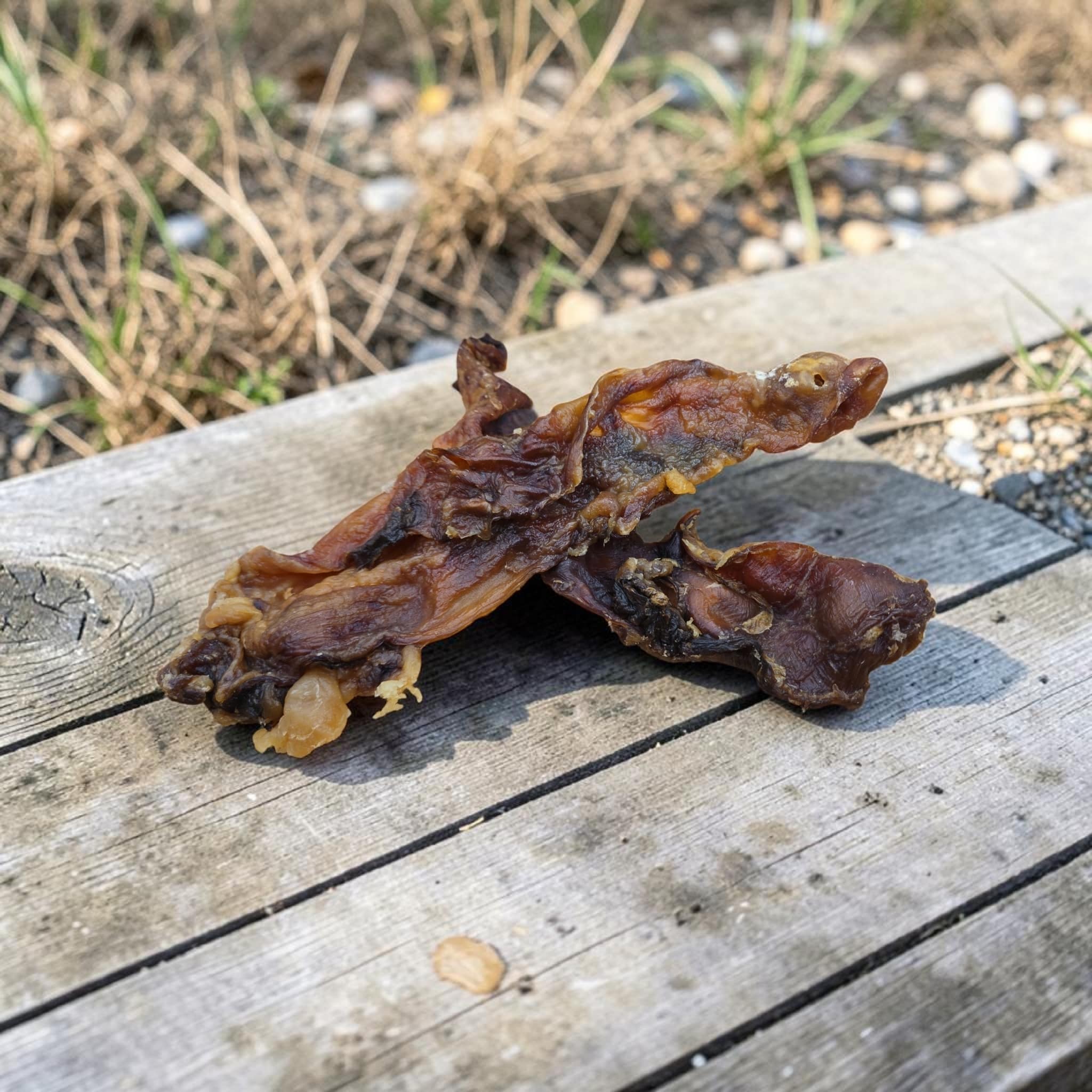Paardennekpezen