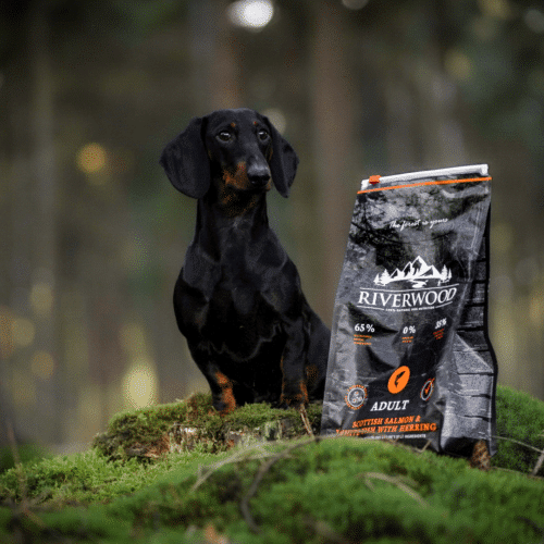 Zwarte hond met grote zak riverwood