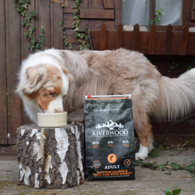 Hond met riverwood zak