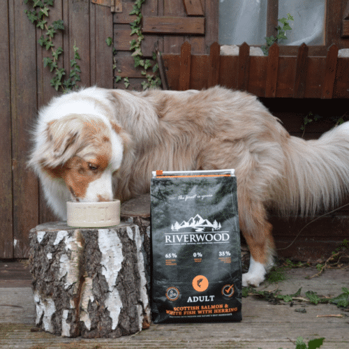 Hond met riverwood zak