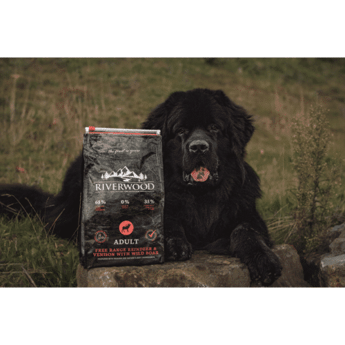 Riverwood Adult Reindeer & Venison – graanvrije droogvoeding voor volwassen honden met rendier en hert